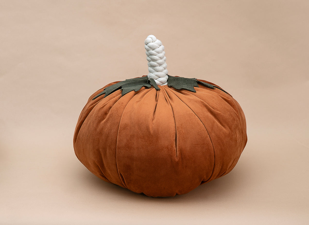 Calabaza de terciopelo naranja, grande