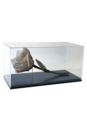 Cargar imagen en el visor de la galería, Flor en caja de acrílico
