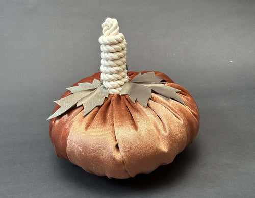 Calabaza de terciopelo naranja, mediana