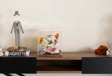 Cargar imagen en el visor de la galería, CRANEO MARIPOSAS OBJETO DECORATIVO
