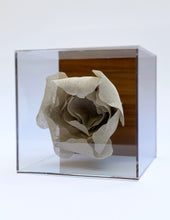 Cargar imagen en el visor de la galería, Flor en caja de acrílico Chica
