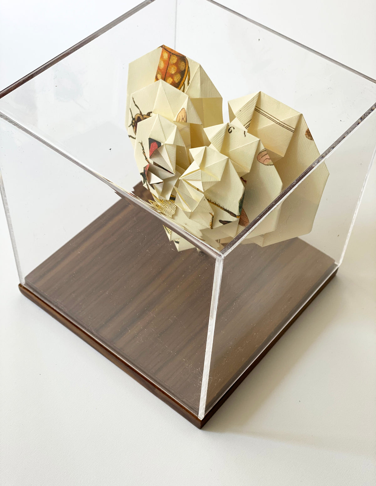 Corazón de origami en caja de acrílico, plegada a mano en origami