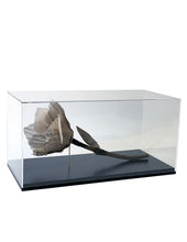 Cargar imagen en el visor de la galería, Flor en caja de acrílico
