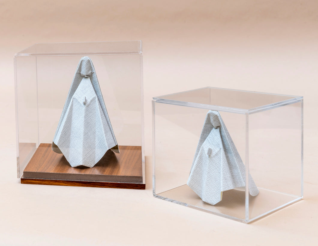 Virgen en Caja de acrílico